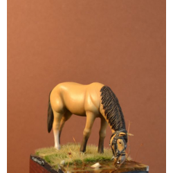 Light cavalry horse