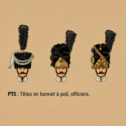 Têtes en bonnet à poil, officiers