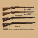 Set d'armes à feu - Troupe française WWI