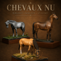 Chevaux 54 mm